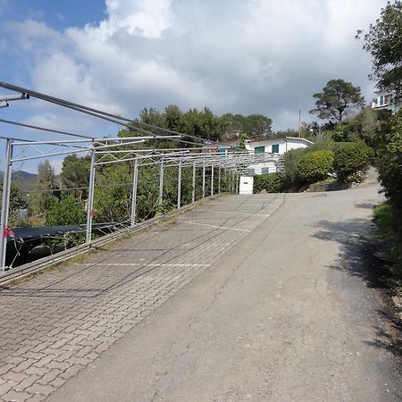 坎普码港Casa Bellavista公寓 外观 照片